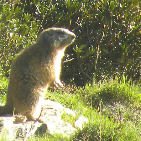 Bed & Breakfast Romantiche Orobie Bordogna